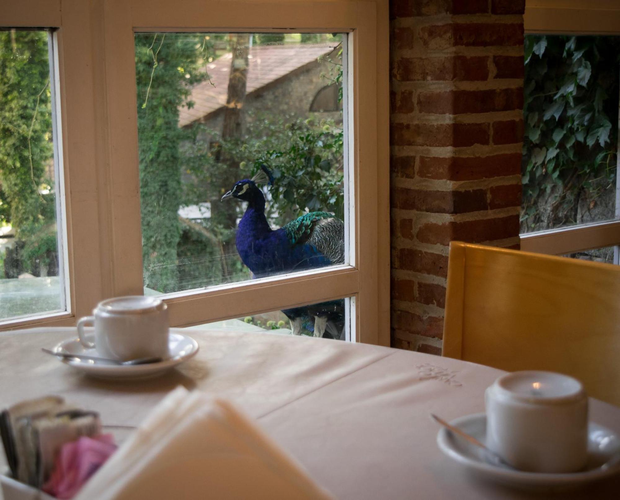 Carilo Village Apart Hotel & Spa Ngoại thất bức ảnh