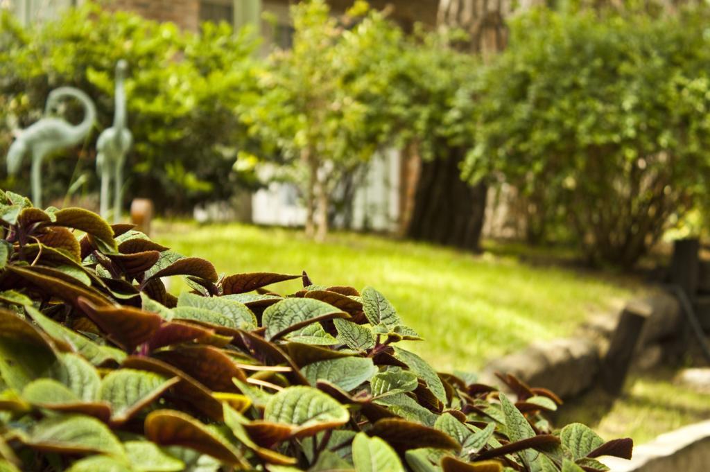 Carilo Village Apart Hotel & Spa Ngoại thất bức ảnh