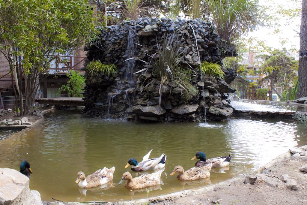 Carilo Village Apart Hotel & Spa Ngoại thất bức ảnh