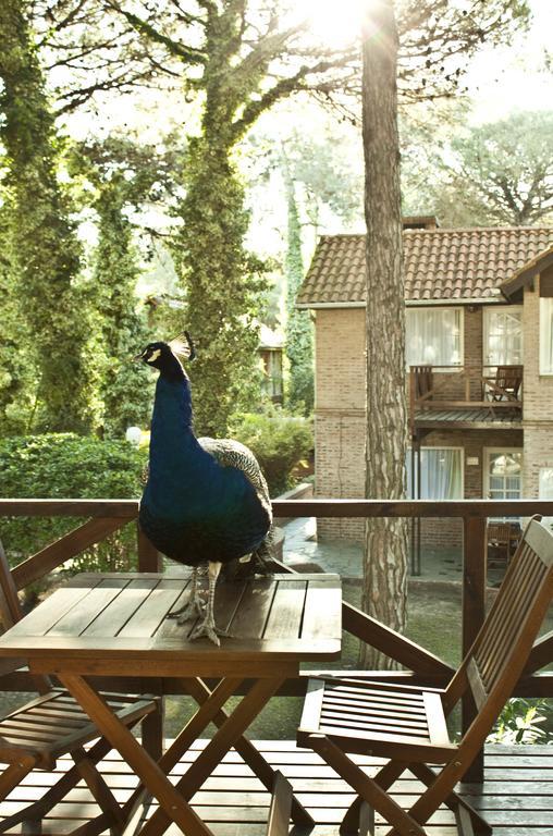 Carilo Village Apart Hotel & Spa Phòng bức ảnh