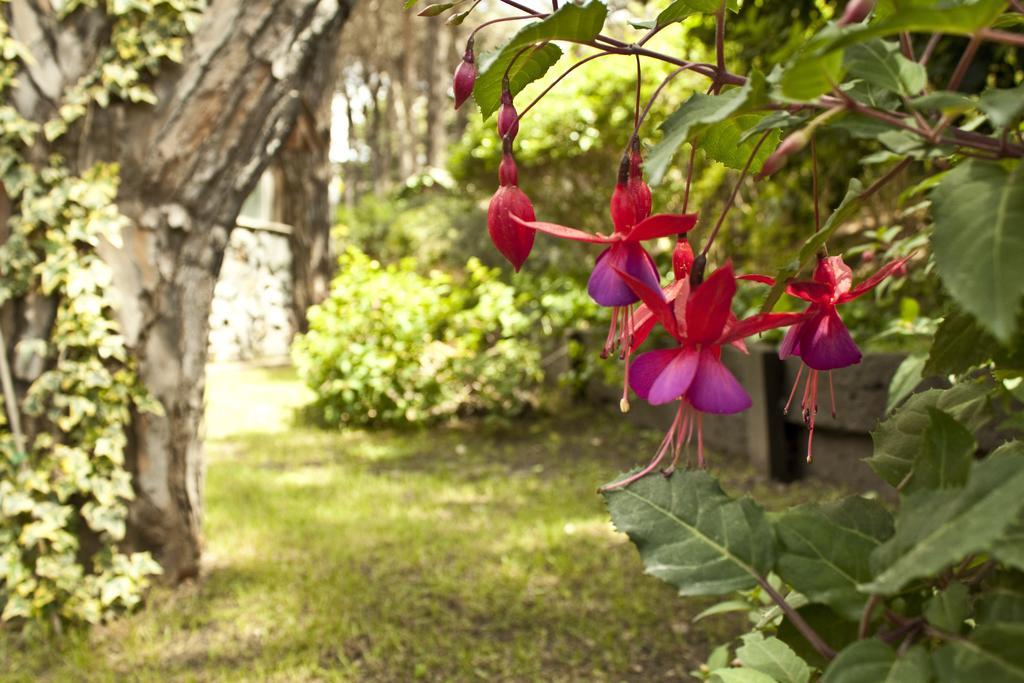 Carilo Village Apart Hotel & Spa Ngoại thất bức ảnh